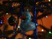 Rutscherlebnis.de wünscht frohe Weihnachten - Unsere Highlights 2014!