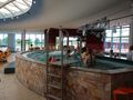 H2o Hotel Therme Resort Bad Waltersdorf