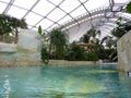 Center Parcs Bois aux Daims