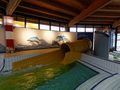 Kyffhäuser Therme Bad Frankenhausen